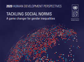 Gender Social Norms Index